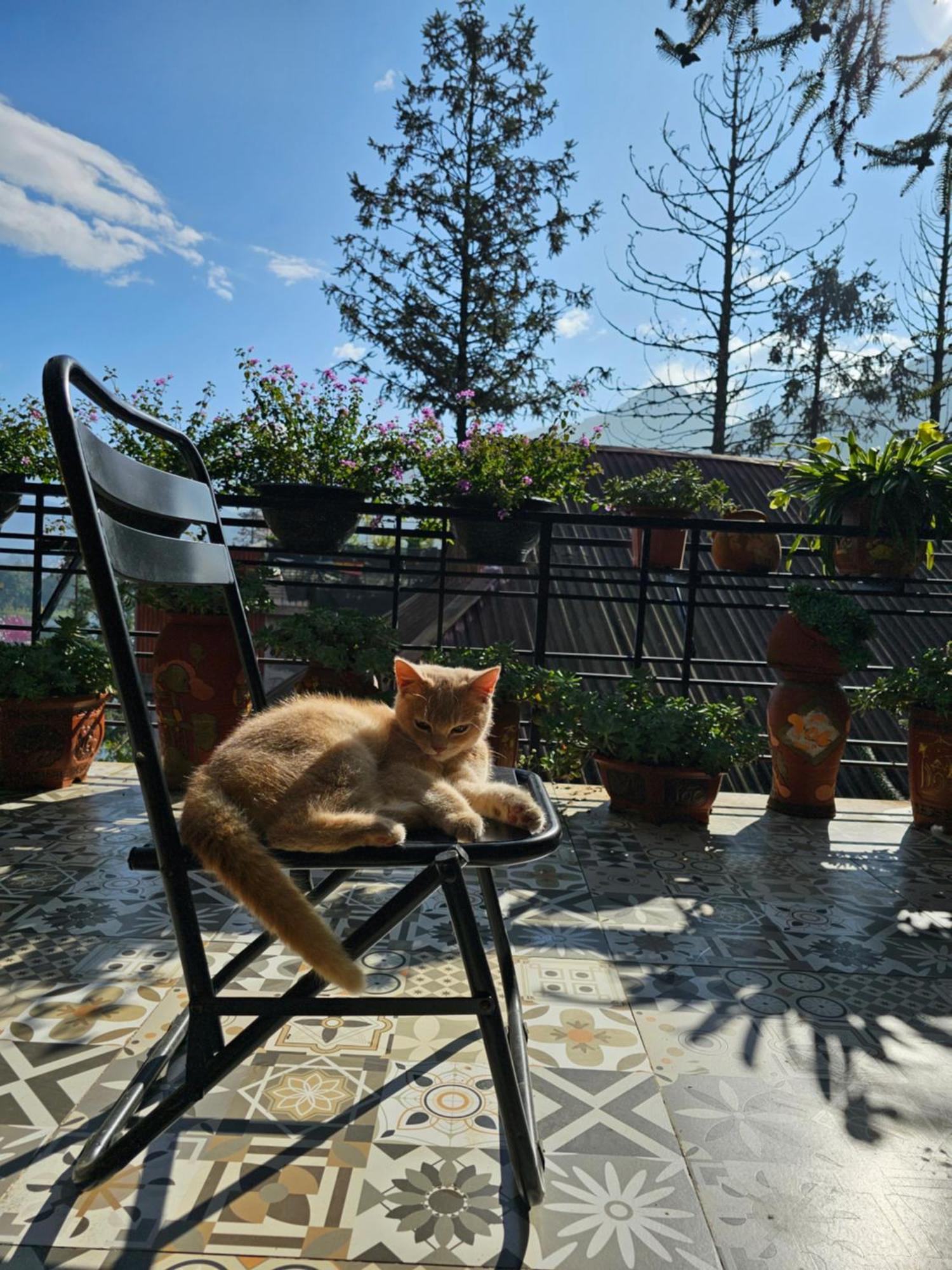 Dang Khoa Garden Inn Homestay Sa Pa Esterno foto