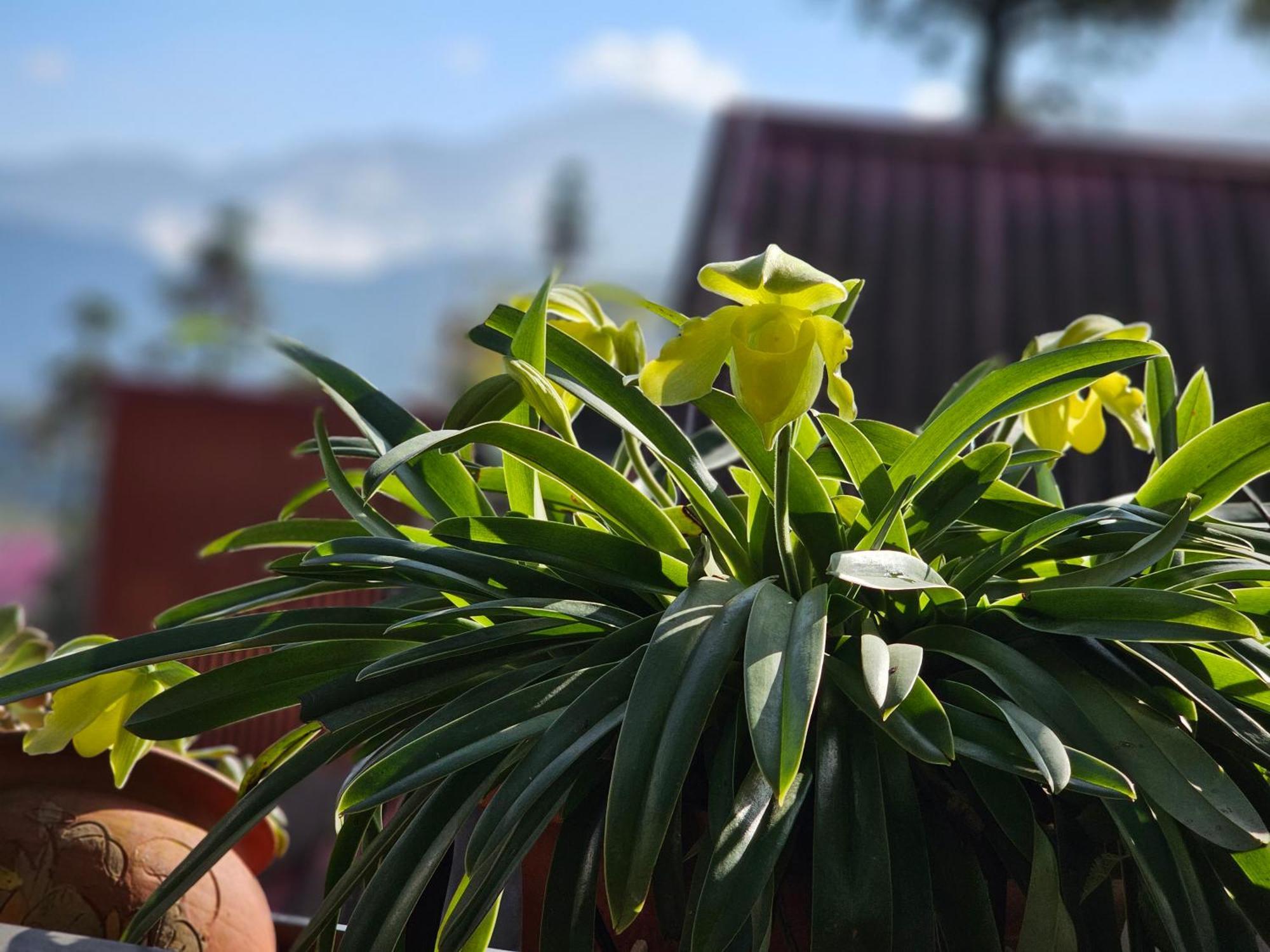 Dang Khoa Garden Inn Homestay Sa Pa Esterno foto