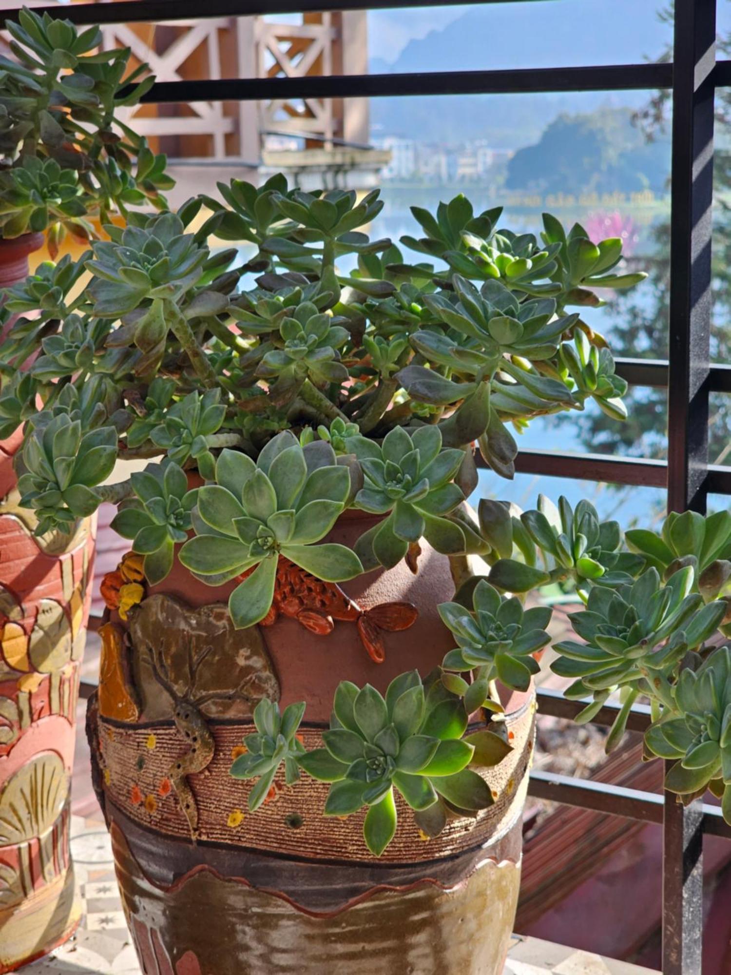 Dang Khoa Garden Inn Homestay Sa Pa Esterno foto