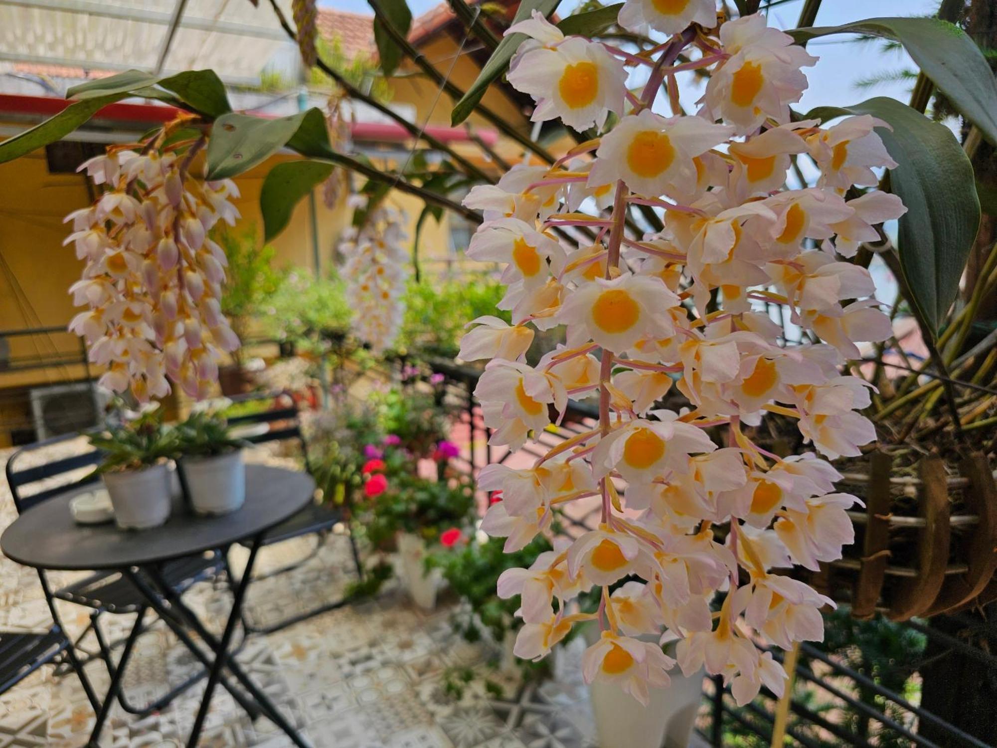 Dang Khoa Garden Inn Homestay Sa Pa Esterno foto