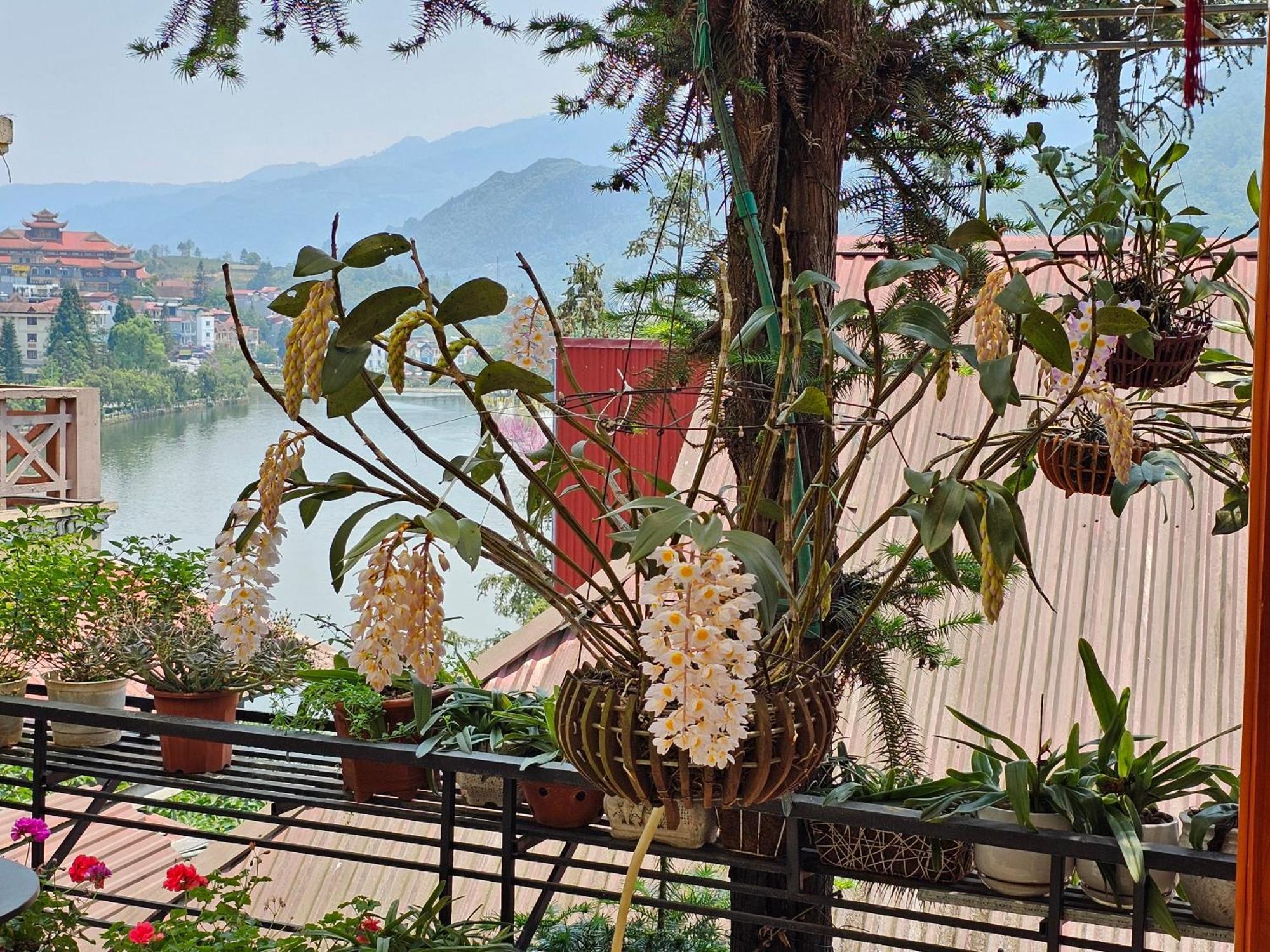 Dang Khoa Garden Inn Homestay Sa Pa Esterno foto